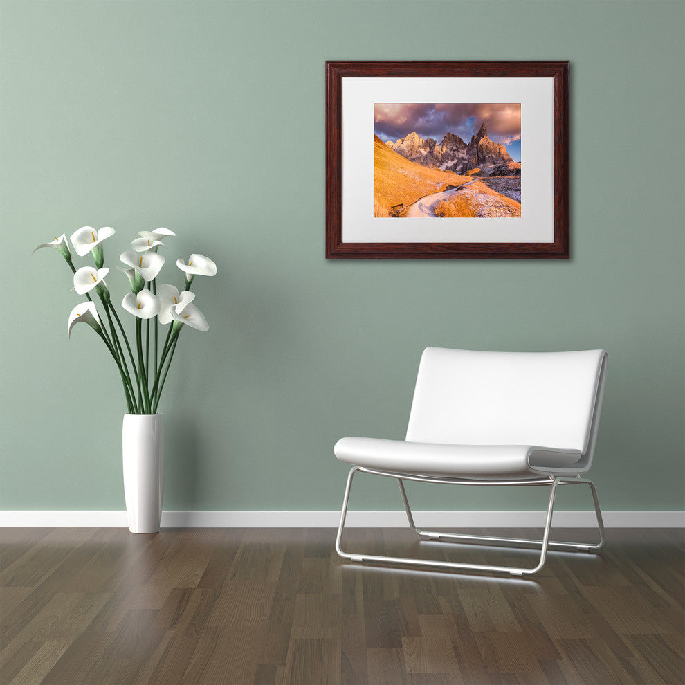 Michael Blanchette Photography 'Pale Di San Martino' Matted Framed Art, 14x11