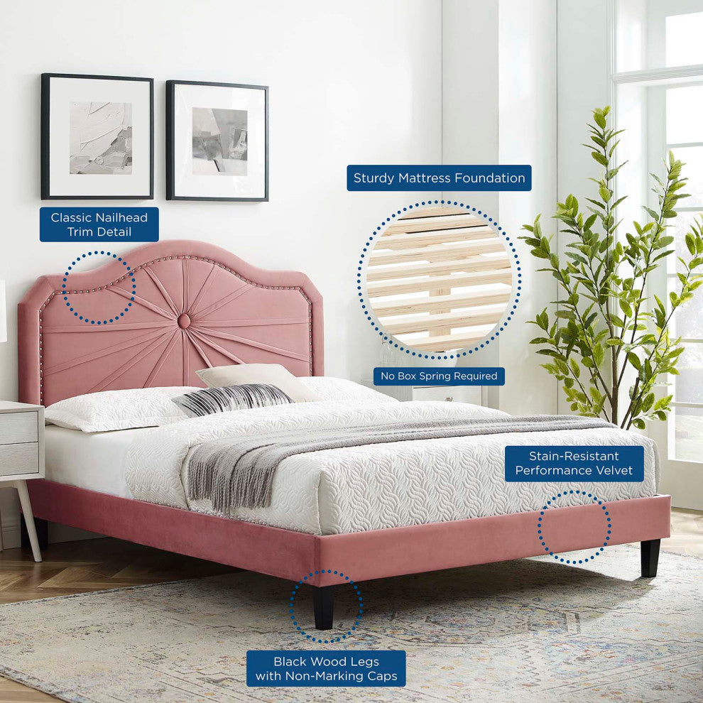 Platform Bed Frame, Queen Size, Velvet, Pink, Modern Contemporary, Bedroom