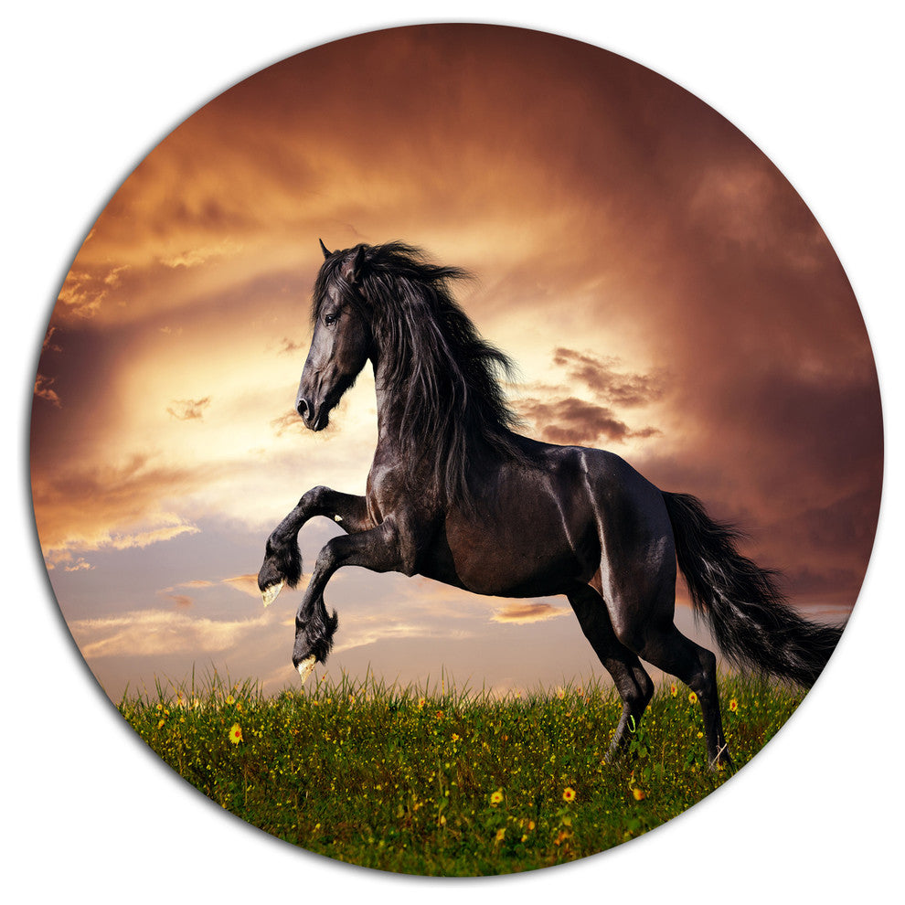 Black Friesian Horse Gallop, Animal Disc Metal Wall Art, 23"