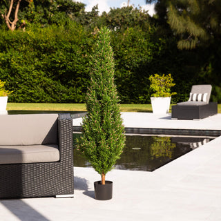 Lifestyle outdoor shot with poolside setting; single topiary clearly visible.