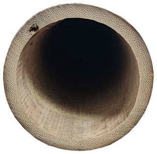 Moso Bamboo Pole, 3.5"-4" Diameter, 6' Long