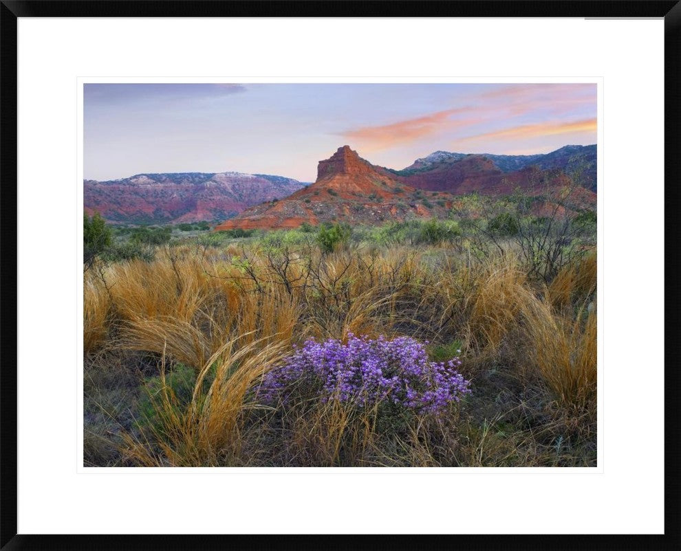 "Caprock Canyons State Park, Texas"  by Tim Fitzharris, 32x26"