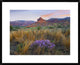 "Caprock Canyons State Park, Texas"  by Tim Fitzharris, 32x26"