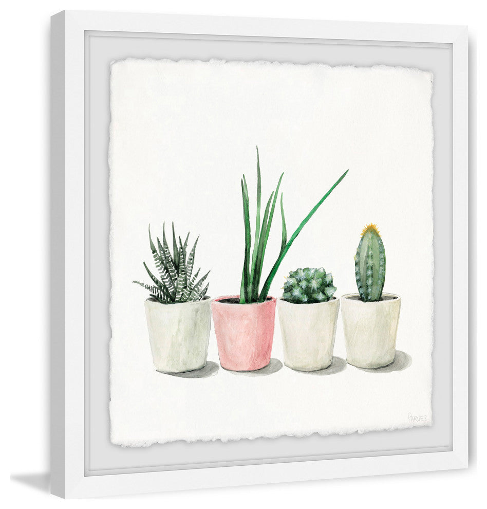 "Potted Succulents" Framed Painting Print