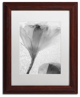 'Flowers on Ice-13' Matted Framed Canvas Art by Moises Levy