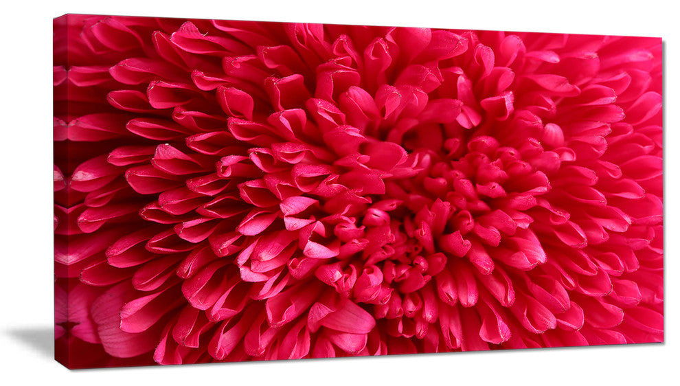 Pink Aster Flower Petals Close up, Large Floral Canvas Artwork, 32"x16"
