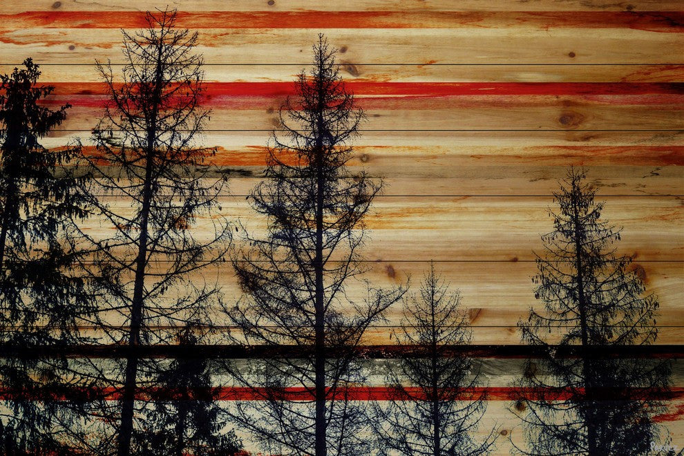 "Pine Forest Trees" Print on Natural Pine Wood, 36"x24"