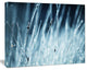 Wet Grass Black and White, Floral Canvas Art Print, 20"x12"