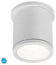 WAC Lighting Tube 5" Indoor or Outdoor LED Flush Mount, White