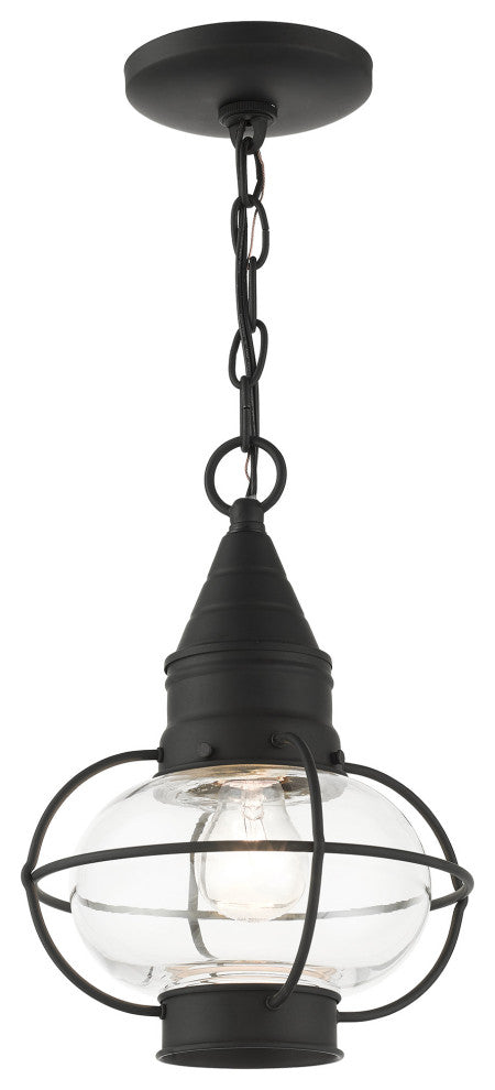 Black Nautical, Farmhouse, Bohemian, Colonial, Outdoor Pendant Lantern