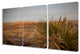 High Desert Yucca Photograph Triptych Stretched Canvas Wall Art Set, 16x24