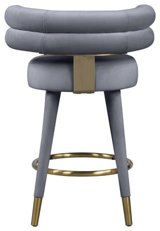 Fitzroy Velvet Upholstered Counter Height Stool (Set of 2)