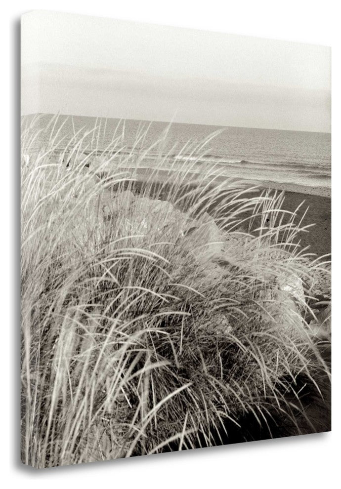 "Tuscan Coast Dunes - 3" By Alan Blaustein, Giclee Print on Gallery Wrap Canvas