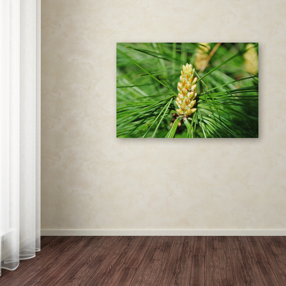 ''The Start'' Canvas Art by Monica Mize