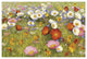 "Champ de Fleur III" Digital Paper Print by Shirley Novak, 20"x14"