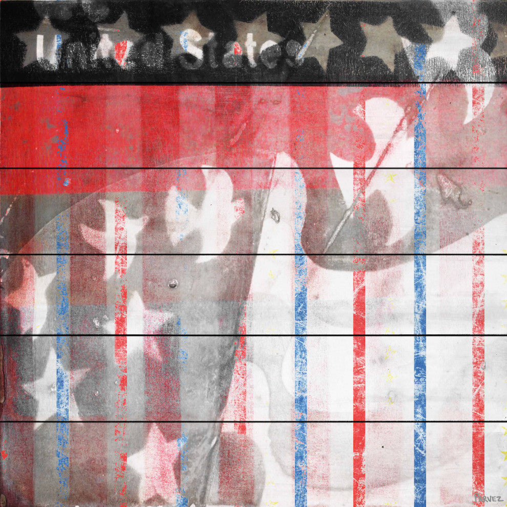 "Patriotic Birds" Print on White Wood, 32"x32"