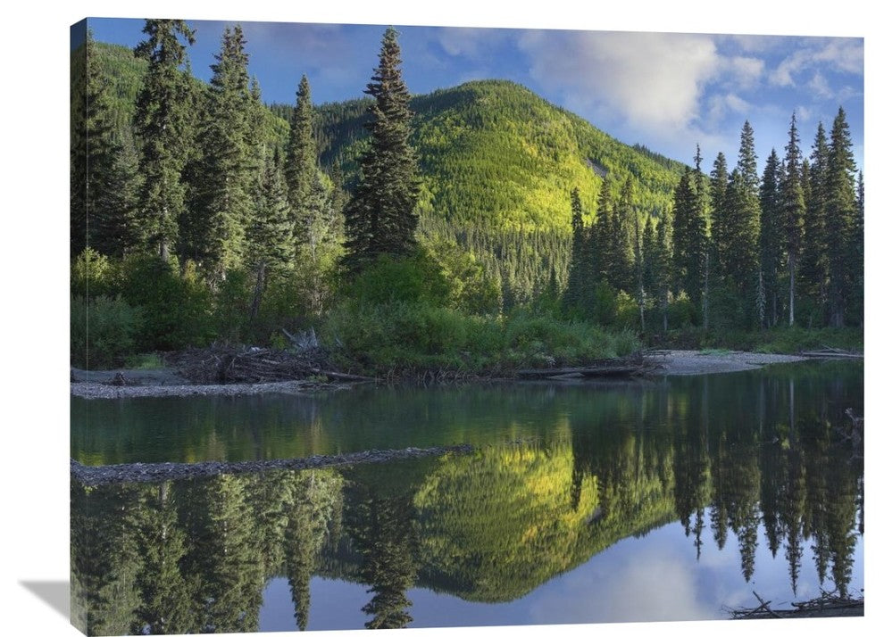 "Pine River, Hart Ranges, British Columbia, Canada" Artwork, 40" x 30"