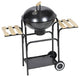 Vidaxl -Bbqkogel2Taf / 2012.03.14 Replaces 16"258