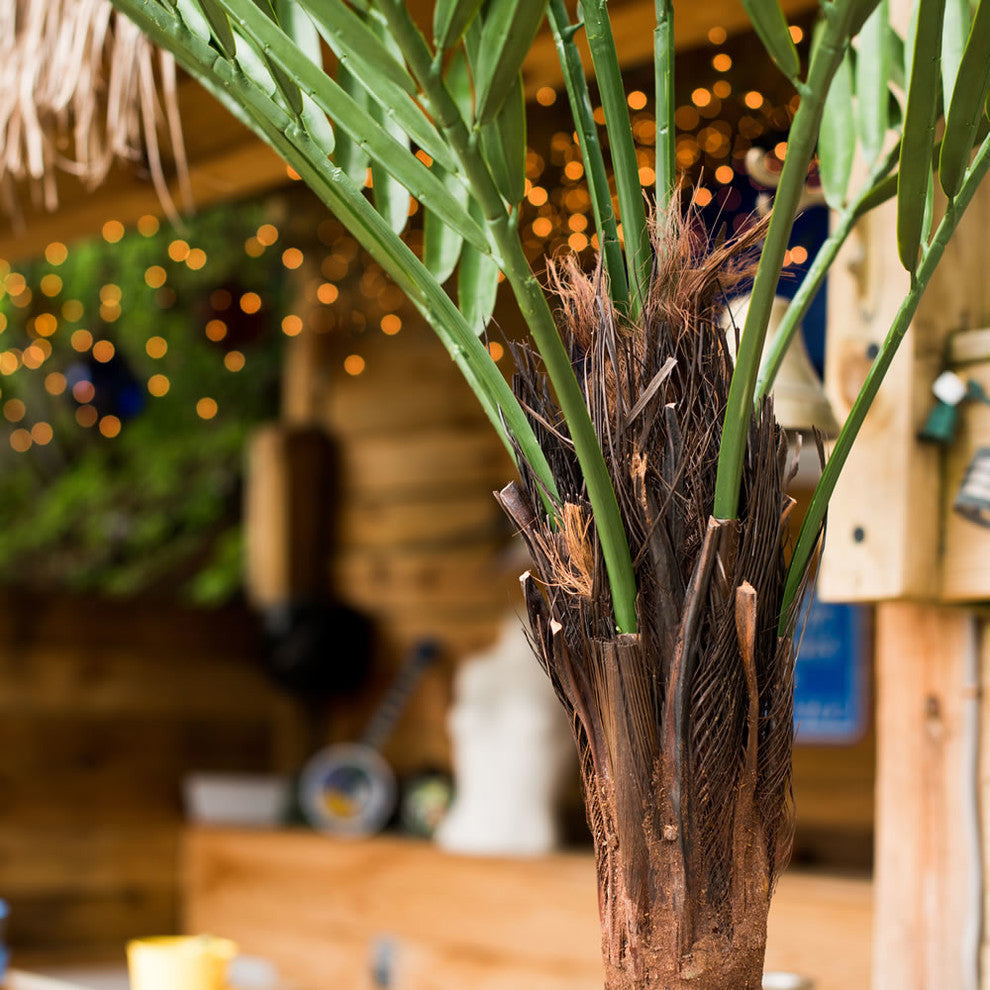 Vickerman T160572 72" Artificial Kentia Palm