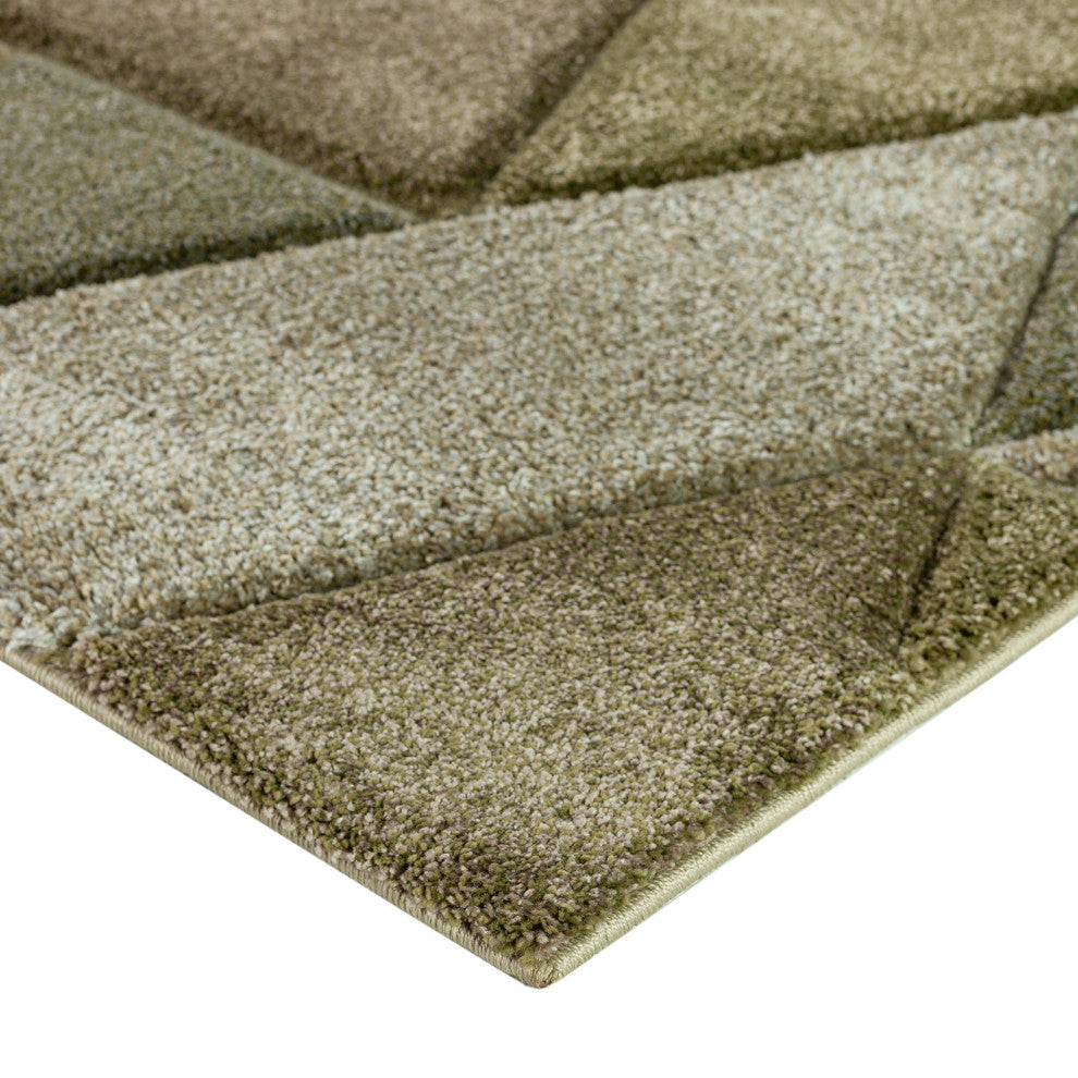 Carmona CO4 Cactus 8' x 10' Rug
