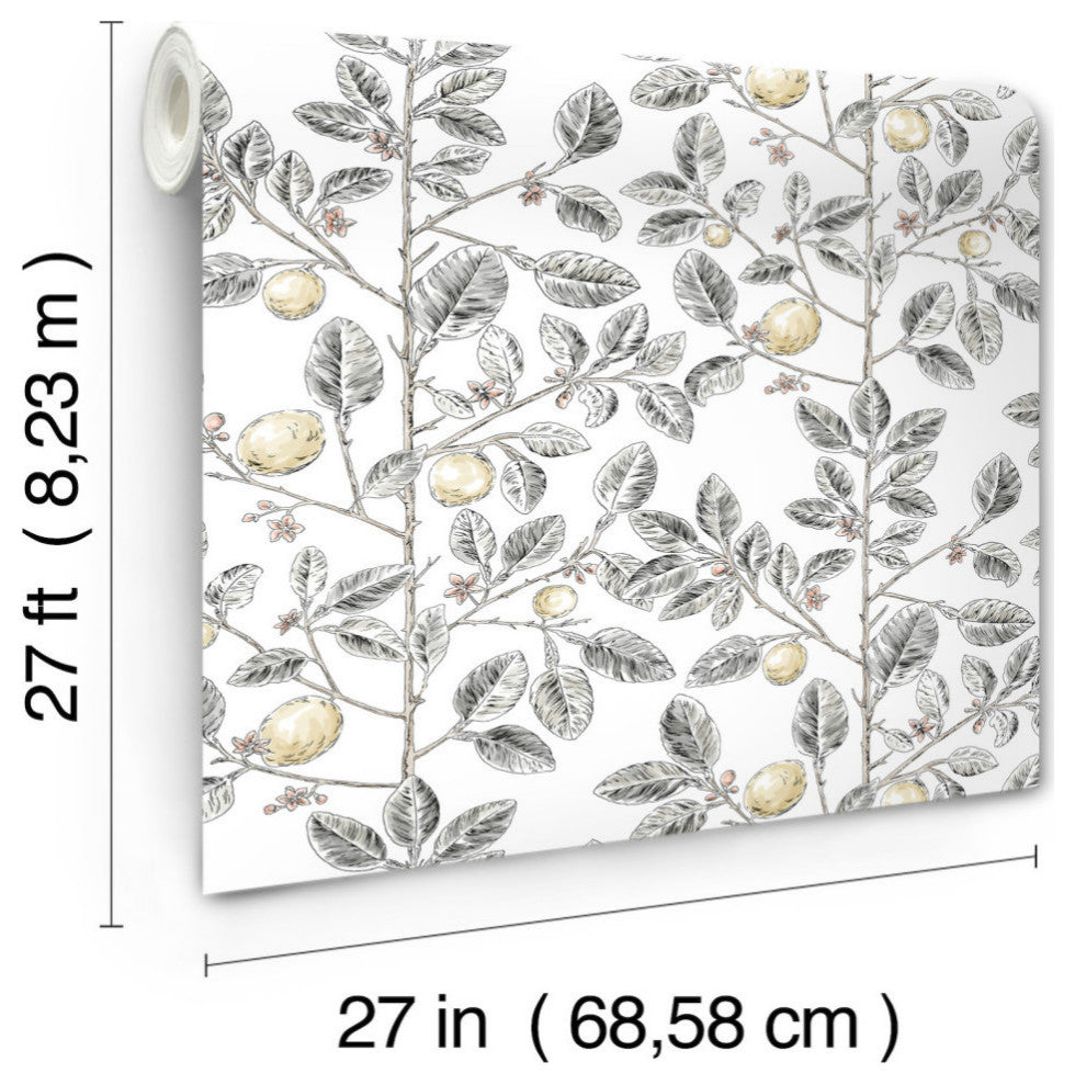 Limoncello Toile Black Wallpaper