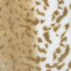 Pillow Decor - Tawny Lynx Faux Fur Throw Pillow, 20" X 20"