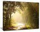 "Bright Sunlight in Fall Forest" Landscape Canvas Photo Print, 20"x12"