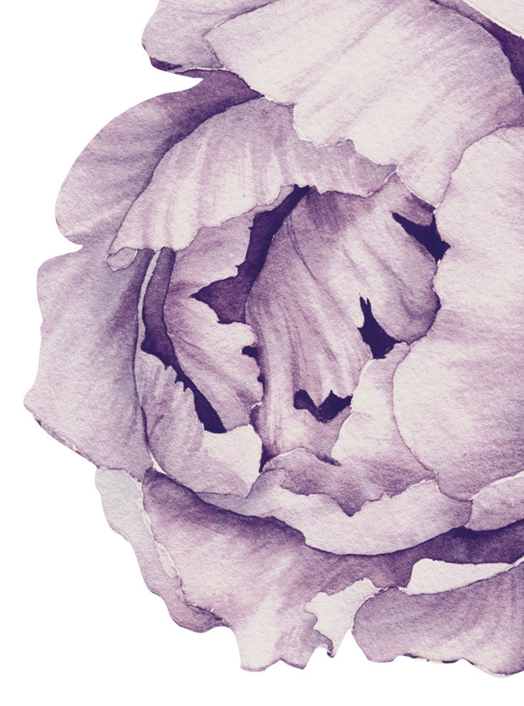 Peony Flowers Vinyl Wall Sticker, Large Set, Mixed Lavender Purple