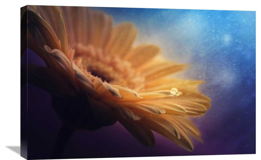 "Universe" Stretched Canvas Giclee by Pasztor Andras, 30"x20"