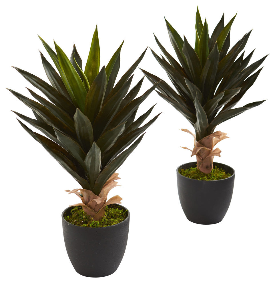 Agave Artificial Plant, Set of 2