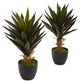 Agave Artificial Plant, Set of 2