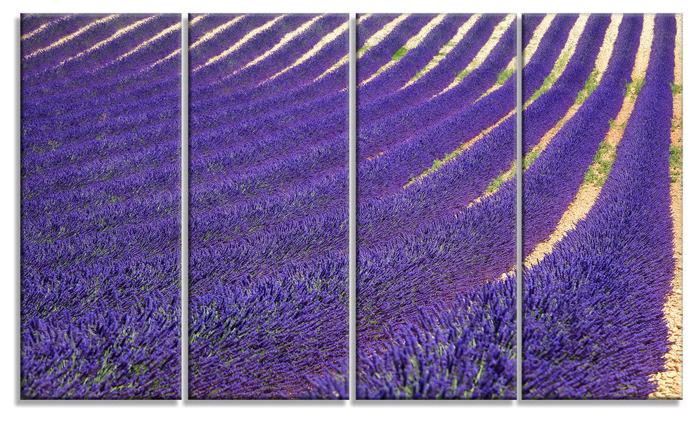 "Lavender Blooming Fields As Texture" Landscape Wall Art, 4 Panels, 48"x28"