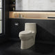 Virage One Piece Elongated Dual Flush Toilet 0.8/1.28 gpf, Bisque