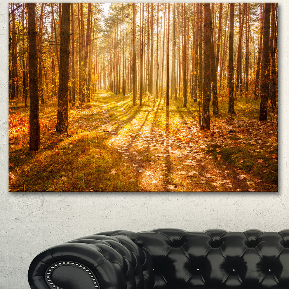 Bright Sunlight in Yellow Fall Forest, Modern Forest Canvas Art, 40"x30"