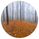 Foggy Forest And Fallen Leaves, Modern Forest Round Wall Art, 11"