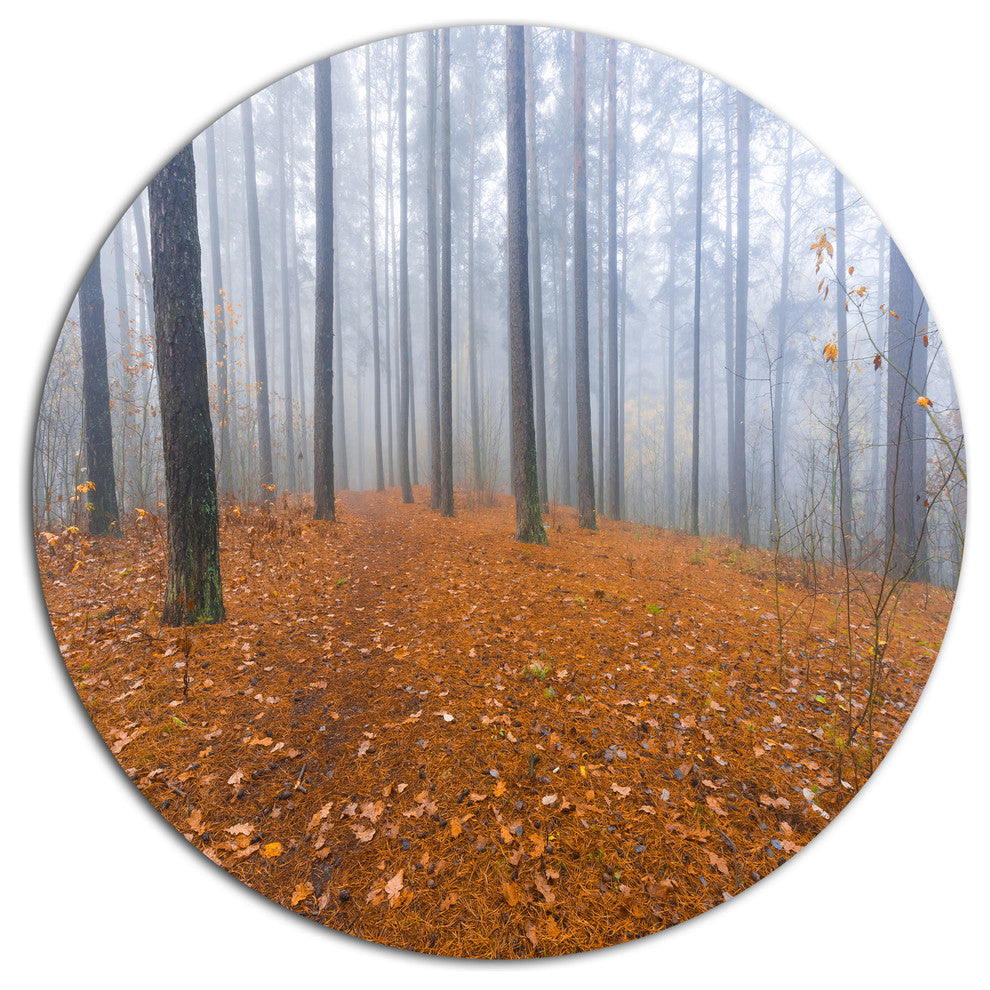 Foggy Forest And Fallen Leaves, Modern Forest Round Wall Art, 11"