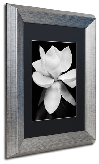 'Magnolia' Silver Framed Canvas Art by Michael Harrison