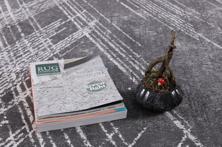 Low-Pile Sidney Charcoal/Ivory Rug, Charcoal, 7'9"x10'