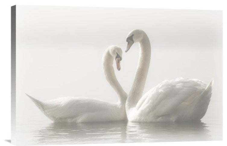 "Forever" Stretched Canvas Giclee by Monika Schwager, 24"x16"