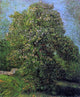 Vincent Van Gogh Chestnut Tree in Bloom, 20"x25" Wall Decal Print