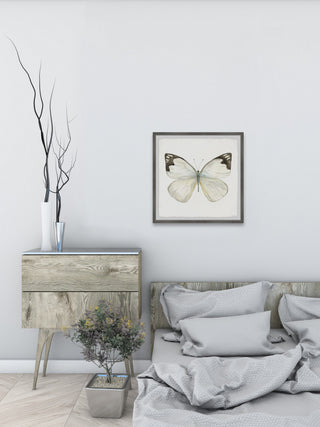 "Rainforest Butterfly" Framed Painting Print, 18x18