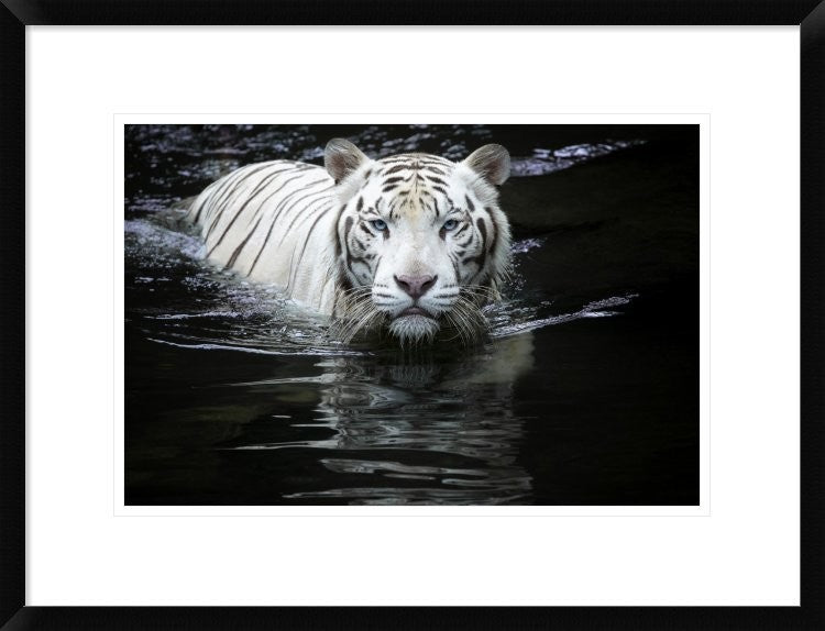 "Looking At Me Looking At You" Framed Digital Print by Renee Doyle, 26"x20"