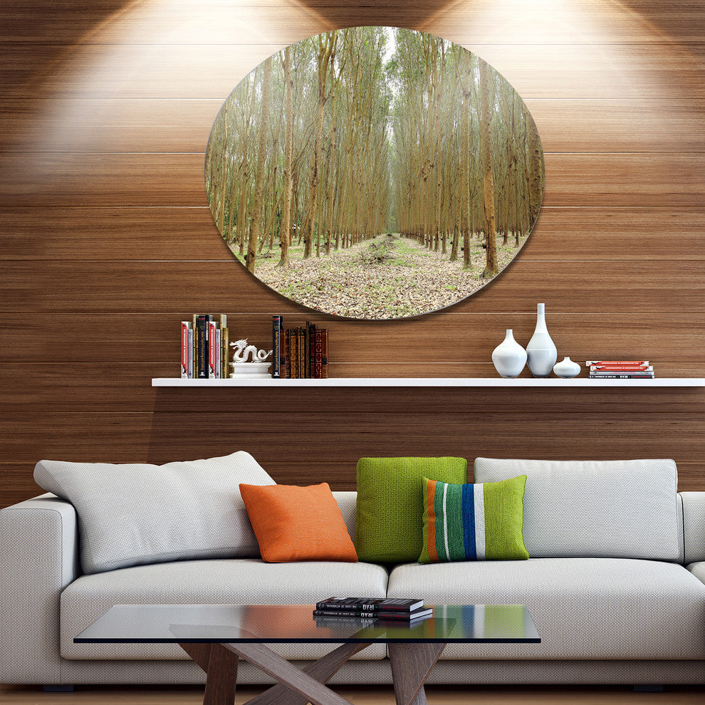 Rubber Trees Row In Thailand, Modern Forest Round Wall Art, 11"