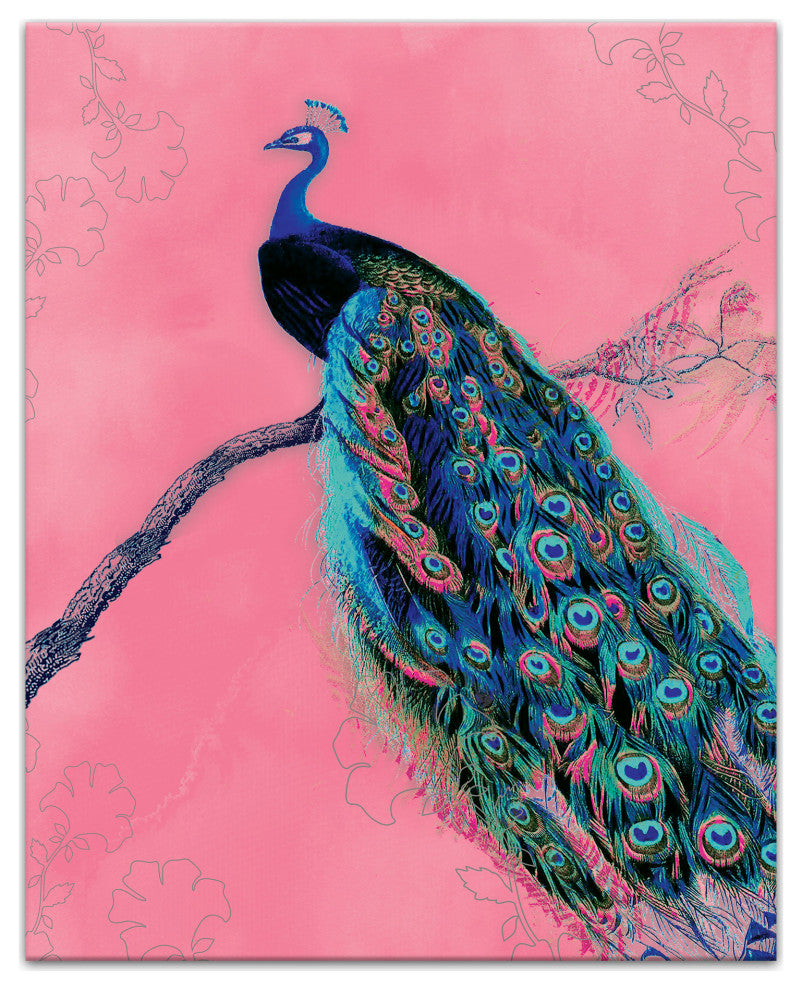 Regal Peacock 16x20 Canvas Wall Art