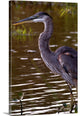 "Heron" Wrapped Canvas Art Print, 16"x24"x1.5"