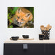 Young Red Fox Face Animal Wildlife Nature Photograph Loose Wall Art Print, 16" X 20"