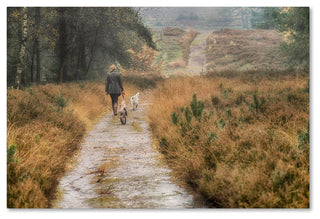 Cora Niele 'Walking the Dogs' Canvas Art