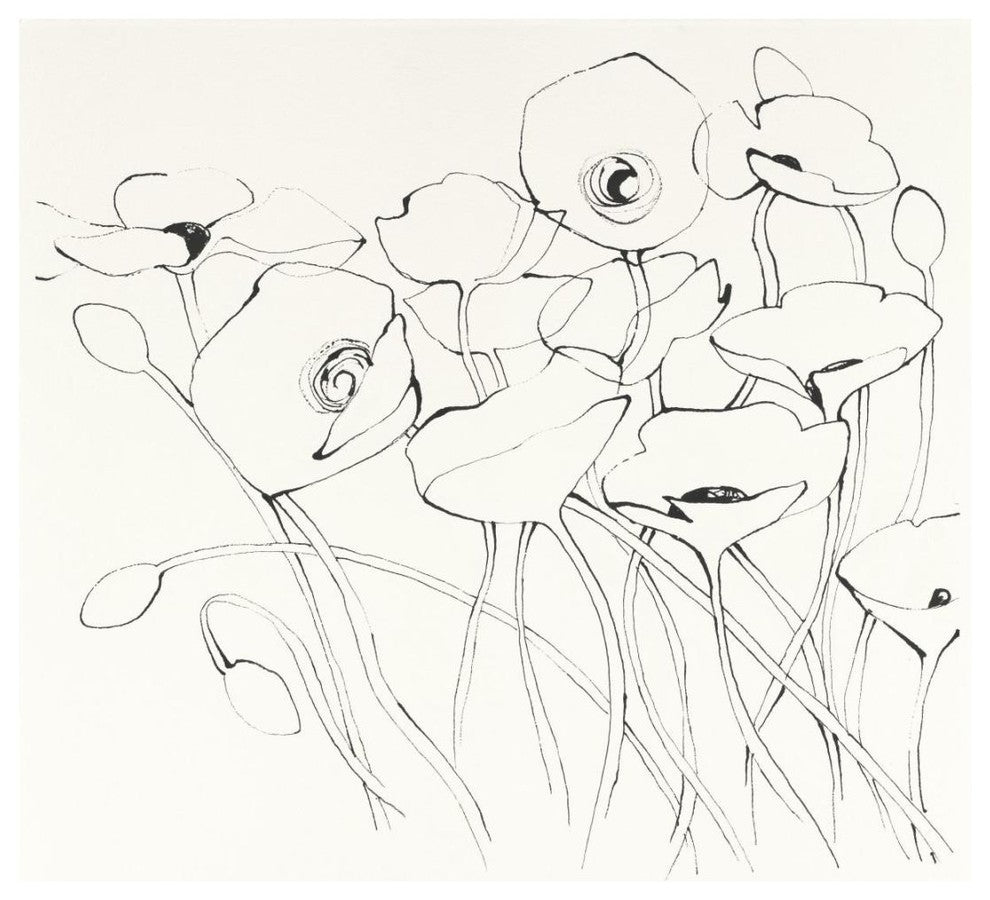 "Black Line Poppies I" Digital Paper Print by Shirley Novak, 20"x20"