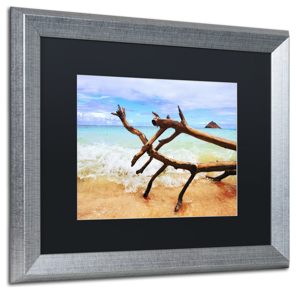 Jason Shaffer 'Hawaii 2' Matted Framed Art, Silver Frame, Black Mat, 20x16