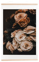 Ingrid Beddoes Begonia Flowers Art Print and Hanger